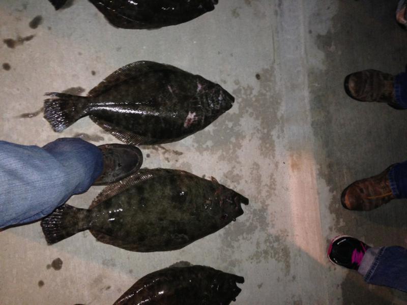 Flounder Gigging in Port OConner Texas